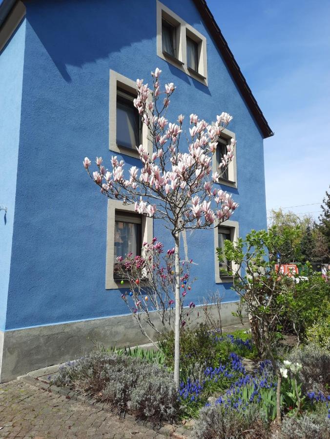 Kunstoase Am Blauen Haus Apartment Dresda Exterior foto