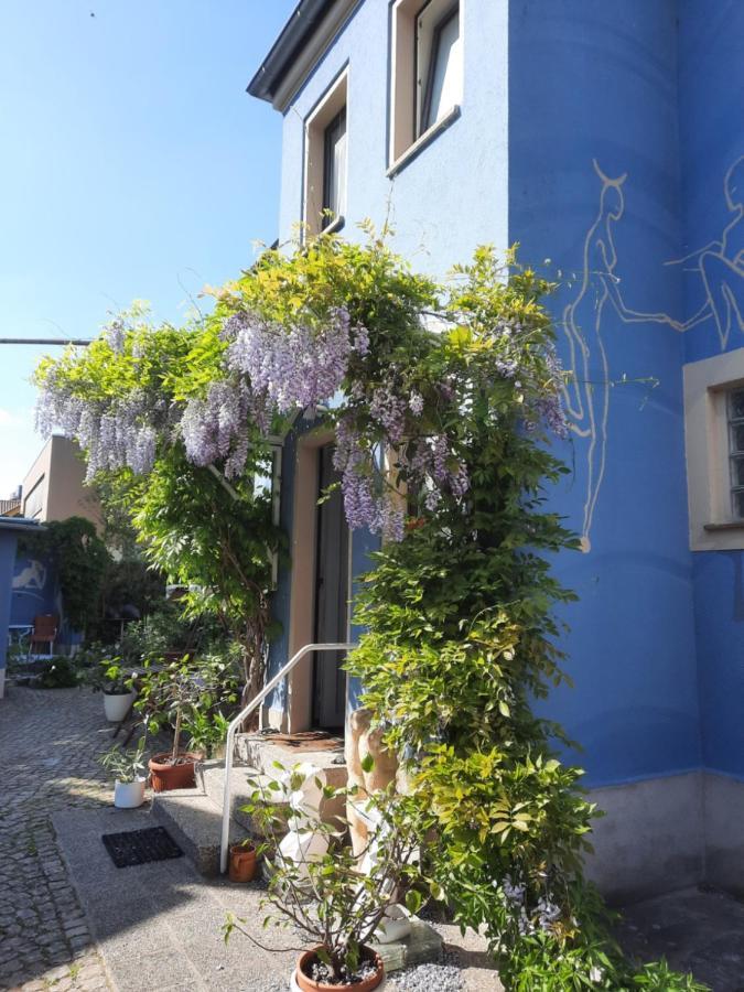 Kunstoase Am Blauen Haus Apartment Dresda Exterior foto